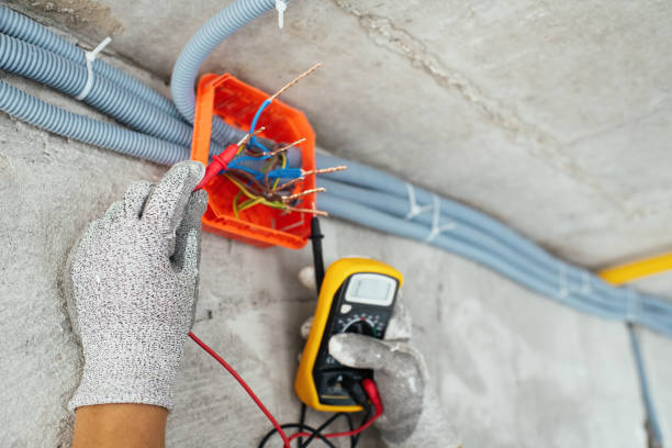 Best Electrician for Home Renovation  in Dawson, MN